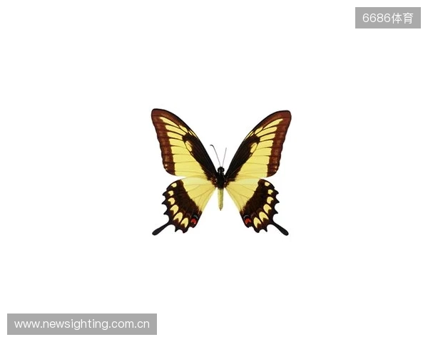 破茧成蝶：Legacy如何登顶南美、跻身世界顶尖行列